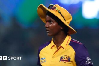 Deepti commands big fee but Healy unsold in WPL