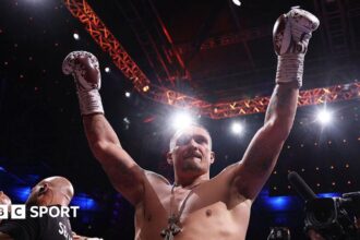 Usyk can make voluntary defence v Wilder - WBC