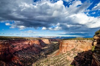 Week 14 buzz: What we're hearing on Bryce Young, Shedeur Sanders and more