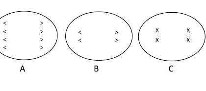 Morgantown set to battle Martinsburg in Class AAAA state football championship