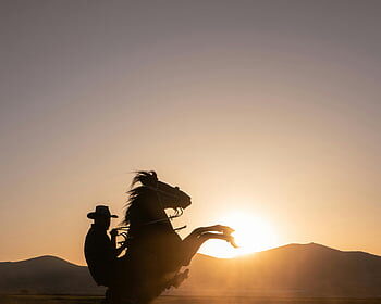 Dak Prescott: Cowboys are pissed off but not deflated about playoff prospects