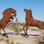 Choctaw (OK) vs. Sand Springs (OK): Live updates, score of Oklahoma OSSAA Class 6A-II state champion