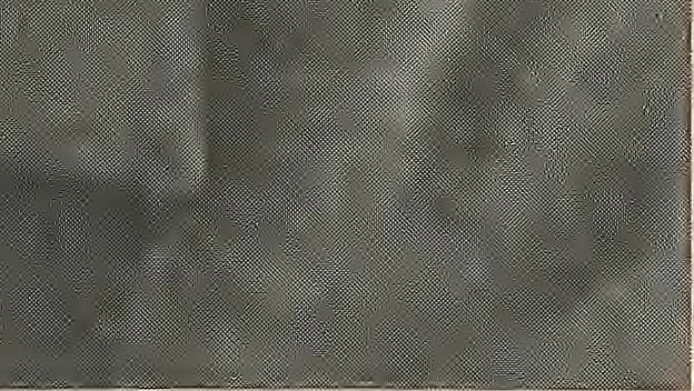 Auburn football WR Perry Thompson plans to enter transfer portal