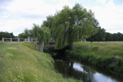 Britain's Brookes wins fourth World Cup gold