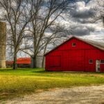 UFC 323 expert picks, best bets: Can Merab or Pantoja be stopped?