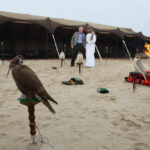 Verstappen beats Norris to pole to set up thrilling Abu Dhabi title decider