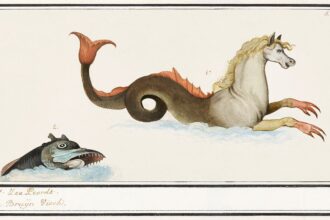 England start in Dallas, Scotland World Cup opener at 2am UK time