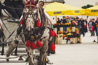 Acuff scores 18 points to lead No. 25 Arkansas over Fresno State 82-58