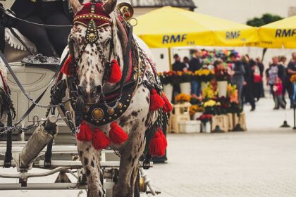 Acuff scores 18 points to lead No. 25 Arkansas over Fresno State 82-58