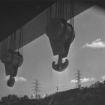 Briton Norris wins his first F1 title in Abu Dhabi