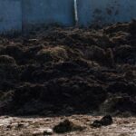 2025 MLB Winter Meetings Schedule