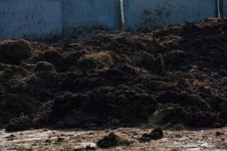 2025 MLB Winter Meetings Schedule