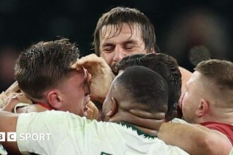 Etzebeth explains eye gouge 'mistake' on Wales' Mann