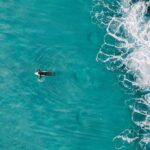 Mavs' Lively to have season-ending foot surgery