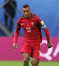 New Zealand vs West Indies 2nd Test Day 2 Live Score and Updates from Wellington