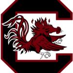 South Carolina CB Brandon Cisse declares for NFL draft