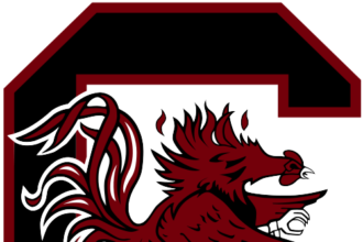 South Carolina CB Brandon Cisse declares for NFL draft