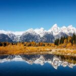 Johnson's Grand Slam Track files for bankruptcy