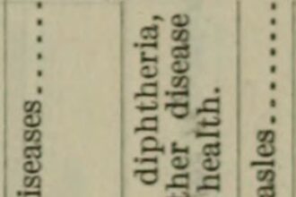 Paul vs AJ: Dangerous or daring?