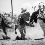 🍼 Josh Allen, Hailee Steinfeld expecting first child