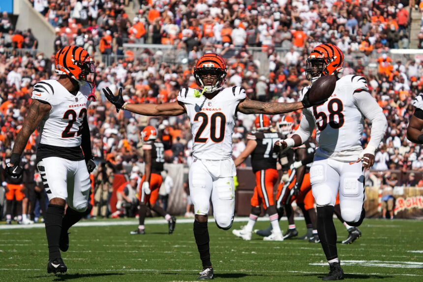 Bengals defensive back DJ Turner injured vs Ravens in NFL Week 15