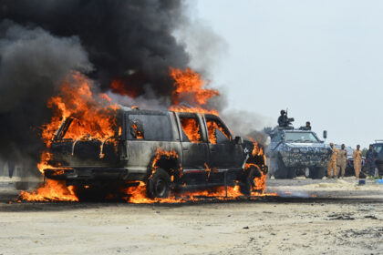 Infamous Ally Pally wasp plays starring role at World Darts Championship - but why?