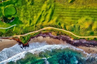 Scheffler wins PGA Tour player of the year fourth year running joining