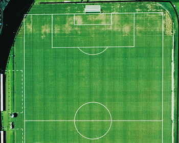 Knicks clinch NBA Cup; Brunson named MVP