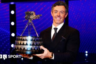 Lots more to achieve after incredible year - McIlroy
