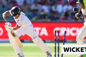 'Lovely bowling' - Lyon beauty removes Stokes