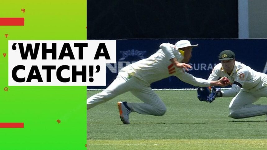 'That's the wicket' - Labuschagne takes brilliant grab to dismiss Jacks