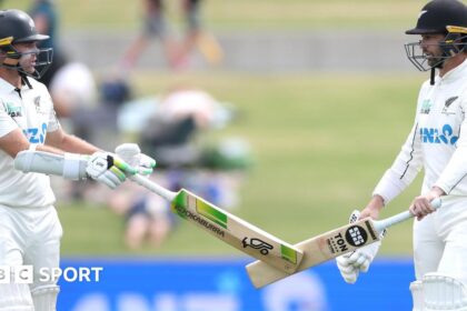 New Zealand openers break Test records against WI