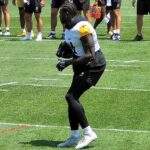 Steelers' Metcalf throws punch at fan in Detroit