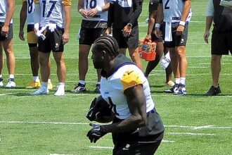 Steelers' Metcalf throws punch at fan in Detroit