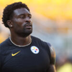 Steelers WR DK Metcalf crashes out, strikes fan in Week 16 vs. Lions