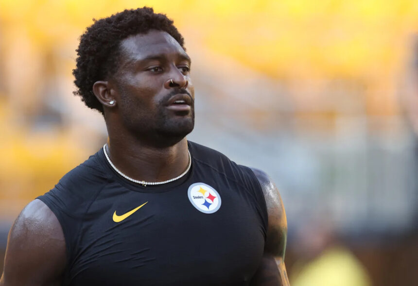 Steelers WR DK Metcalf crashes out, strikes fan in Week 16 vs. Lions
