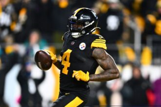 Steelers receiver Metcalf strikes Lions fan
