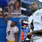 Steelers Wide Receiver DK Metcalf Punches Lions Fan During Sideline Altercation