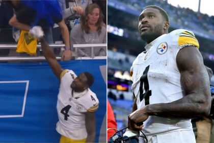 Steelers Wide Receiver DK Metcalf Punches Lions Fan During Sideline Altercation