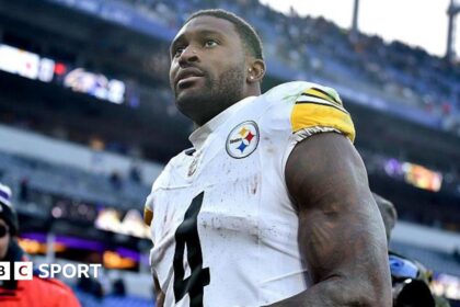 Steelers' Metcalf appears to punch fan during game