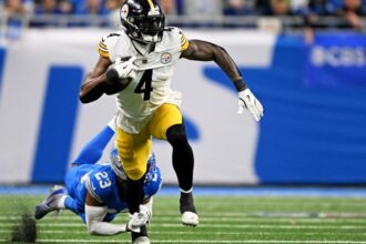 We now know why Steelers' DK Metcalf wasn't ejected for shoving a Lions fan