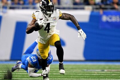 We now know why Steelers' DK Metcalf wasn't ejected for shoving a Lions fan