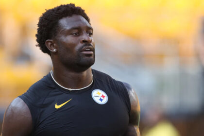 Lions fan denies using racial slurs towards Steelers' DK Metcalf