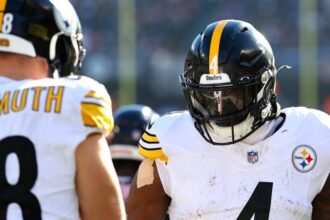 Steelers’ DK Metcalf Suspended For Swiping At Lions Fan