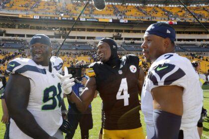 Steelers’ DK Metcalf suspended 2 games by the NFL for taking a swing at fan