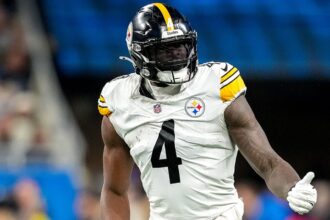 NFL suspends Steelers' DK Metcalf for 2 games after altercation with Lions fan