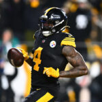 Video after DK Metcalf swipe shows aftermath with Lions fan