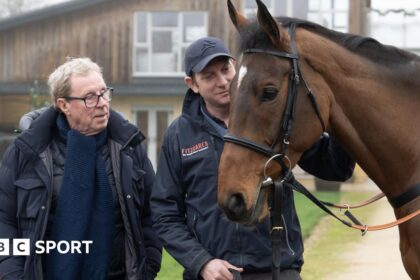 Redknapp runner among King George contenders