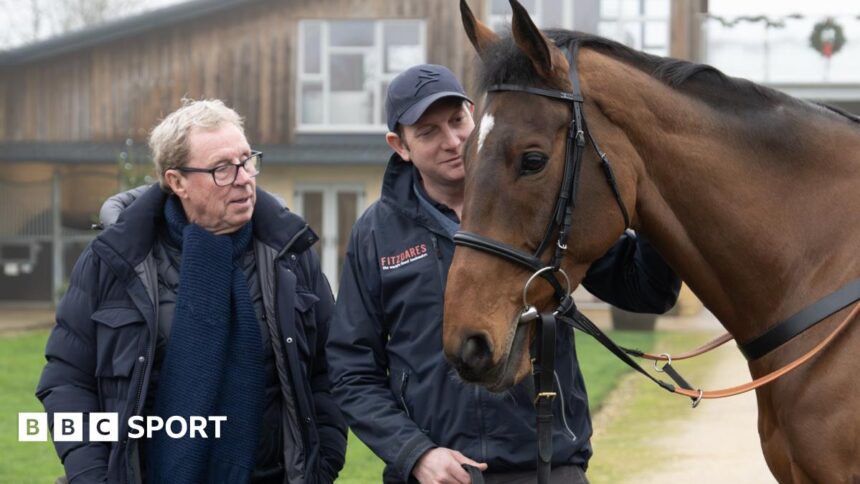 Redknapp runner among King George contenders