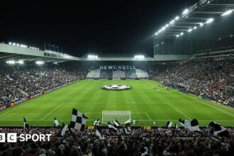 Newcastle stadium plans in limbo - Howe